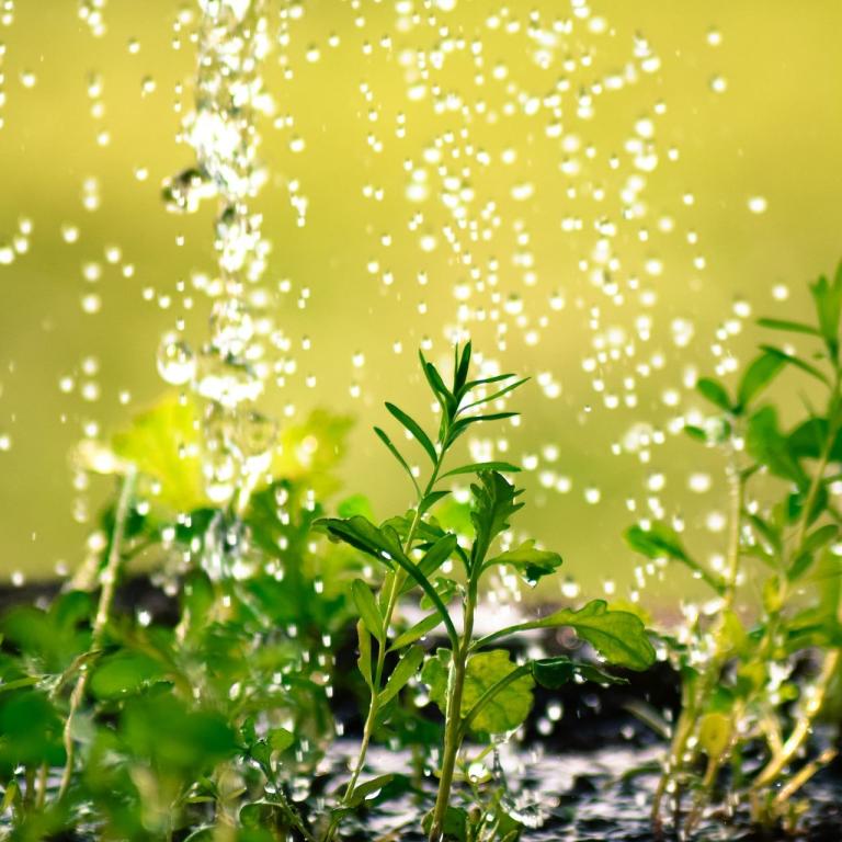 Gartenbewässerung